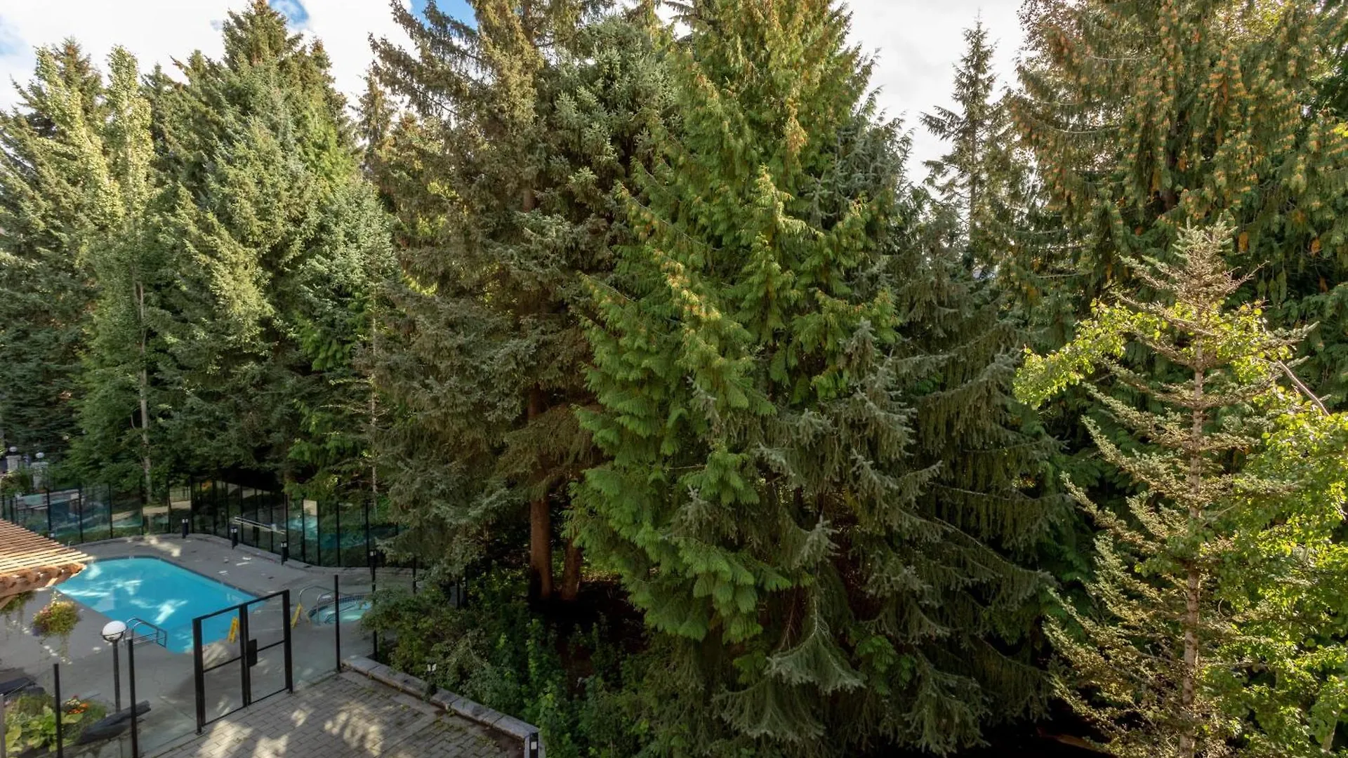Alpenglow Lodge Bear Wonder One Bedroom By Mva Whistler 0*,